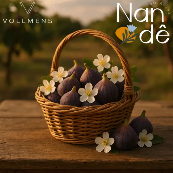 Essência Premium Vollmens - Figo Flower